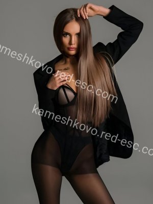 Дина — Сольцы