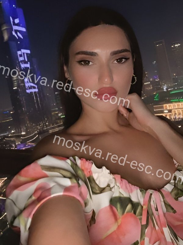 Вероника — Сольцы